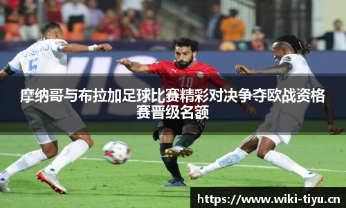 维基体育官方网站
