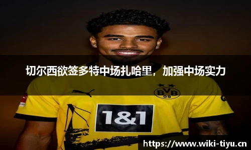切尔西欲签多特中场扎哈里，加强中场实力