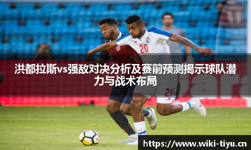维基体育
