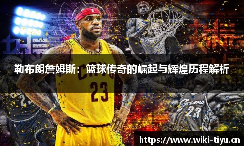 维基体育官方网站