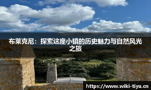 维基体育平台