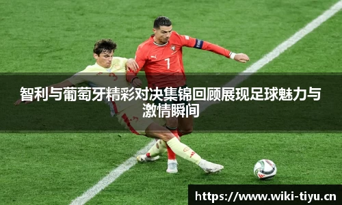 维基体育
