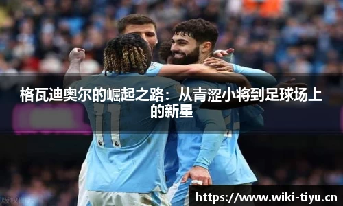 维基体育官方网站