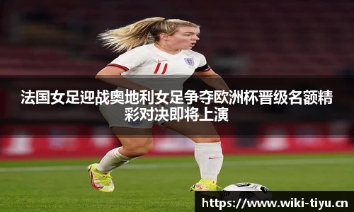 维基体育官方网站